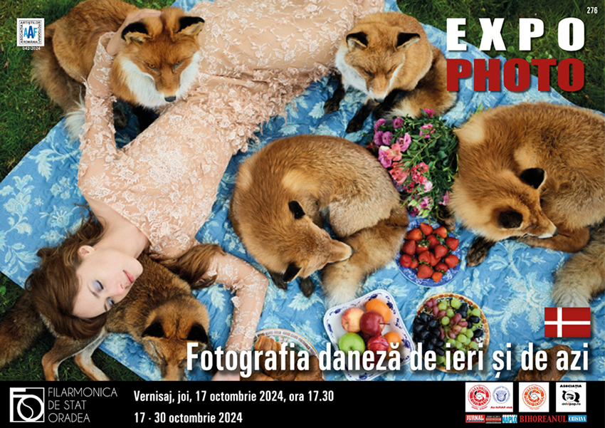 Fotograf: Jan Hammerstad Titel: Picnic with Foxes 5